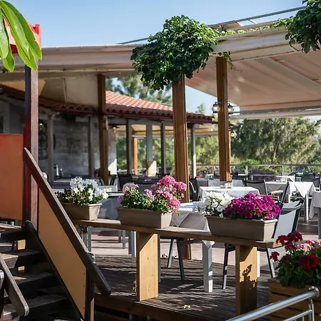 Akti Aparthotel 3*